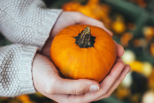 Ingredient Spotlight: Leveraging the Powers of Pumpkin
